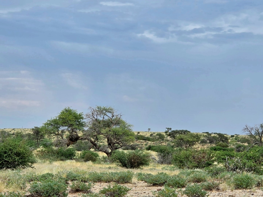 Commercial Property for Sale in Upington Rural Northern Cape